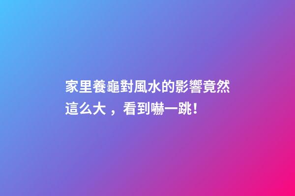 家里養龜對風水的影響竟然這么大，看到嚇一跳！